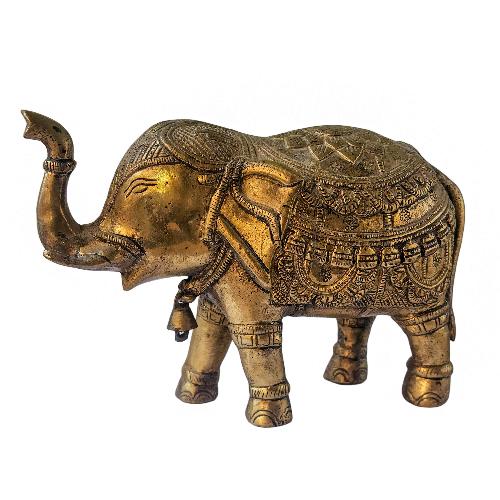 Elephant-31896