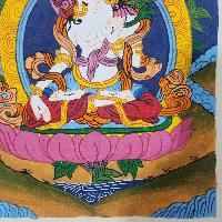 thumb3-White Tara-32445