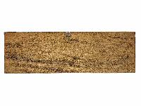 thumb1-Banner-32848