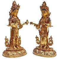 thumb1-Mandarava-33384