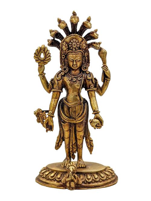 Narayana-33493