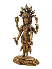 thumb1-Narayana-33493