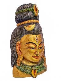 thumb1-shiva-33663