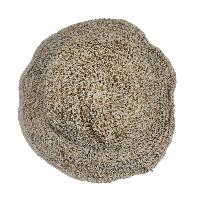 thumb1-Hemp Hat-33718
