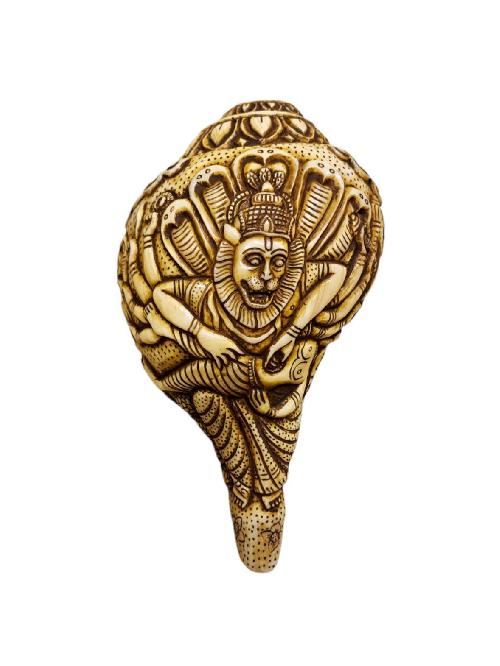 Narayana-33820
