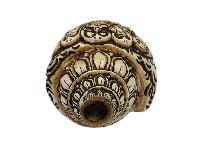 thumb2-Conch Shell-34107
