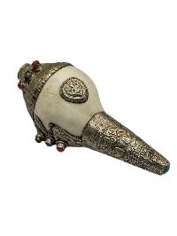 thumb1-Conch Shell-34108