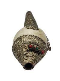 thumb3-Conch Shell-34108