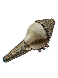 thumb4-Conch Shell-34108