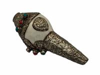 thumb1-Conch Shell-34110