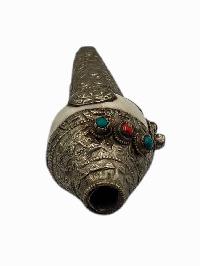 thumb3-Conch Shell-34110