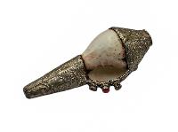 thumb4-Conch Shell-34110