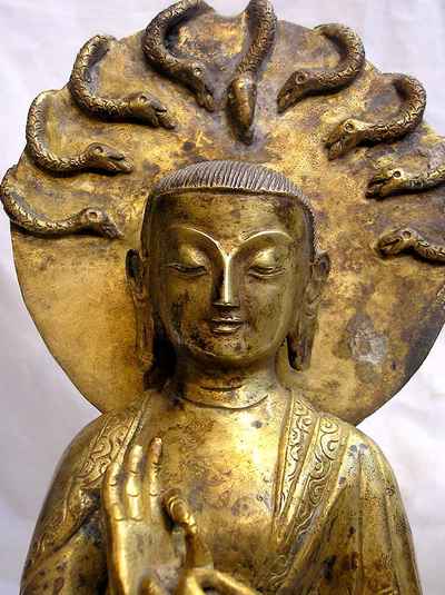 thumb1-Nagarjuna Buddha-3429