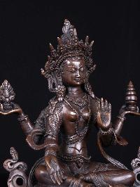 thumb1-Lakshmi-34332