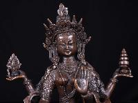 thumb3-Lakshmi-34332