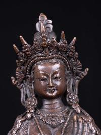 thumb8-Lakshmi-34332