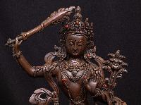 thumb3-Manjushri-34453