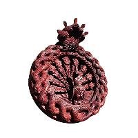 [premium] Traditional Newari Wooden [hand Carved Peacock Design For Decoration], Natural Wood,