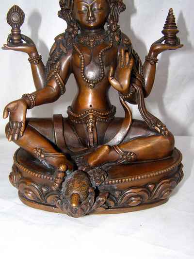 thumb3-Lakshmi-4517
