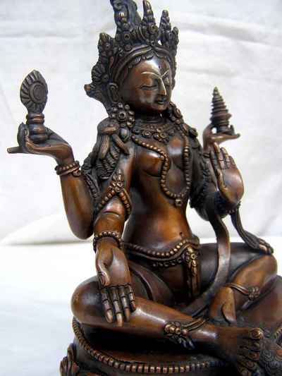 thumb5-Lakshmi-4517