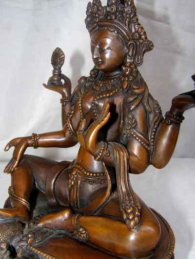 thumb6-Lakshmi-4517