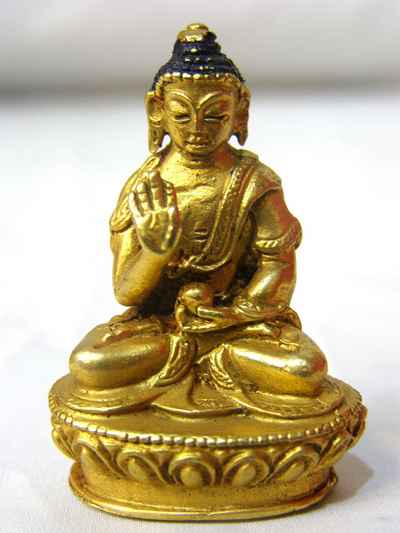 Amoghasiddhi Buddha-5702