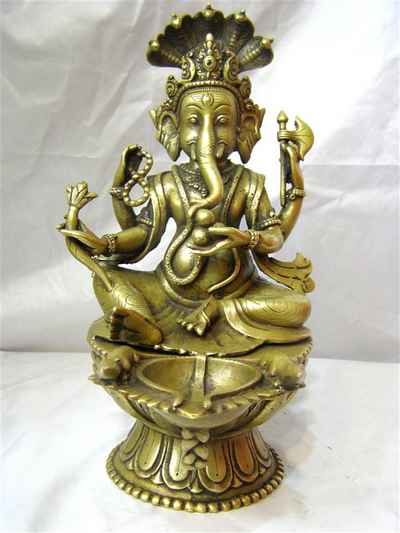 Ganesh Skunda-5875