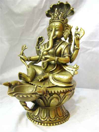 thumb1-Ganesh Skunda-5875