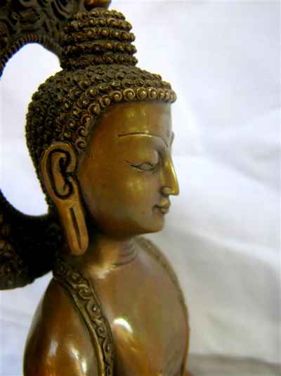 thumb6-Amitabha Buddha-8311