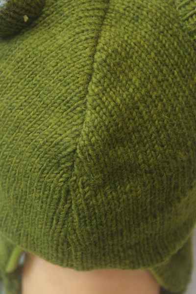 thumb1-Woolen Animal Cap-8631