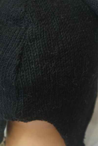 thumb1-Woolen Animal Cap-8644