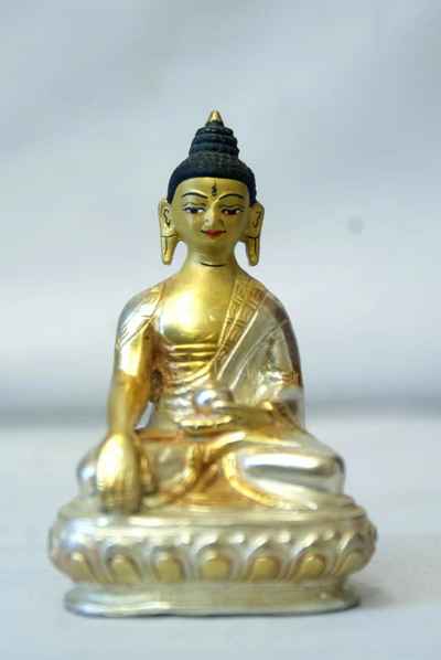 Shakyamuni Buddha-8670