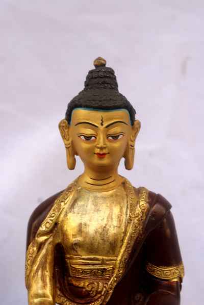 thumb1-Shakyamuni Buddha-8910