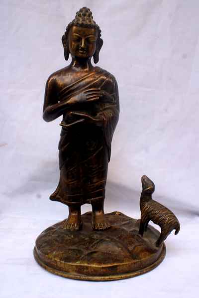 Buddha-8916